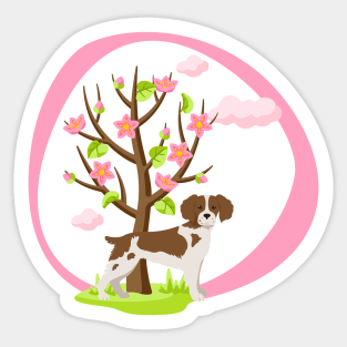 Brittany Spaniel Dog with Spring Blossom Tree Sticker